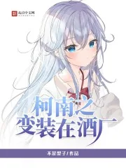 《柯南之变装在酒厂》小说封面