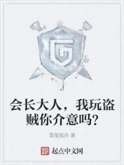 《会长大人,我玩盗贼你介意吗?》小说封面