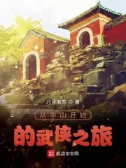 《从华山开始的武侠之旅》小说封面