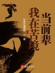 《我在苦境当前辈》小说封面