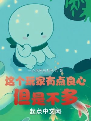 《这个玩家有点良心,但是不多》小说封面