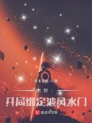 《木叶:开局绑定波风水门》小说封面