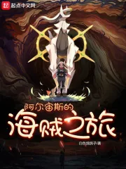 《阿尔宙斯的海贼之旅》小说封面