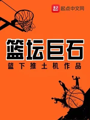 《篮坛巨石》小说封面