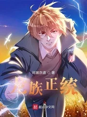 《龙族正统》小说封面