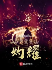 《全职法师之灼耀》小说封面