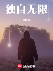 《独自无限》小说封面