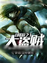 《网游之大盗贼》小说封面