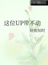 《这位UP带不动》小说封面