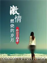 《激情燃烧的岁月》小说封面
