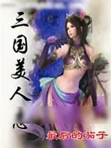 《仿真三国志》小说封面