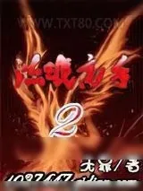 《流氓高手II》小说封面