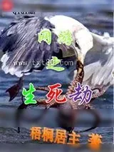 《生死劫》小说封面