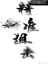 《精准狙击》小说封面
