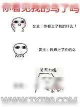《你看见我的鸟了吗》小说封面