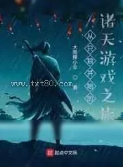 《只狼：影逝二度》小说封面