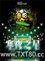 《寒夜之星》小说封面