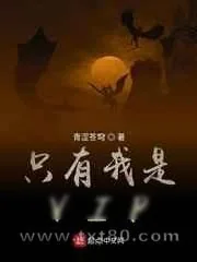 《只有我是VIP》小说封面