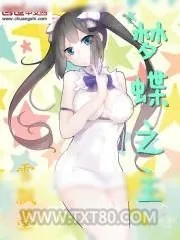 《梦蝶之主》小说封面