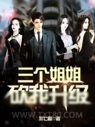 《三个姐姐砍我升级》小说封面