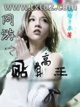 《网游之贴身高手》小说封面