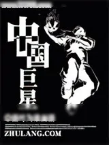 《中国巨星》小说封面