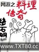 《网游之料理传奇》小说封面