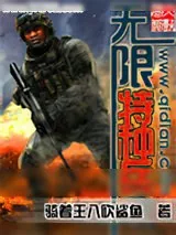 《虎胆龙威》小说封面