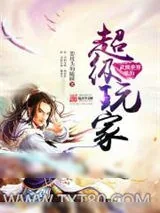 《武侠世界里的超级玩家》小说封面