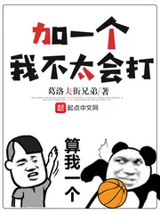 《加一个,我不太会打》小说封面