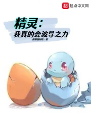《精灵:我真的会波导之力》小说封面