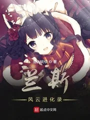 《兰斯风云进化录》小说封面