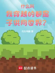 《什么叫我穿越的都是子供向世界?》小说封面