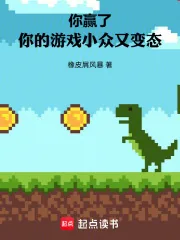 《你赢了，你的游戏小众又变态》小说封面