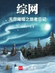 《综网:无尽璀灿之旅者日记》小说封面