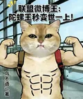 《联盟微博王：陀螺王秒变世一上！》小说封面