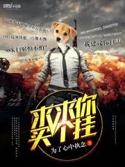 《求求你买个挂》小说封面