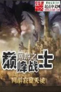 《网游之巅峰战士》小说封面