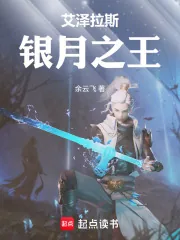 《艾泽拉斯银月之王》小说封面