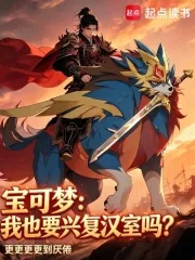《宝可梦:我也要兴复汉室吗?》小说封面