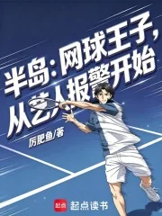 《半岛:网球王子,从艺人报警开始》小说封面
