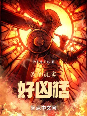 《我的玩家好凶猛》小说封面