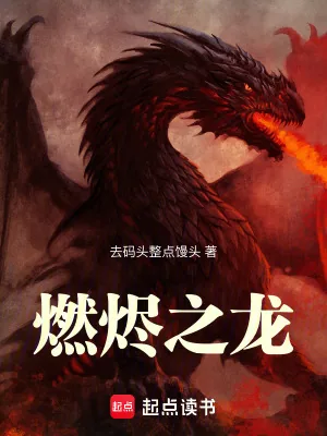 《燃烬之龙》小说封面