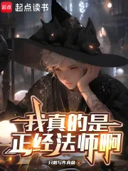 《我真的是正经法师啊》小说封面