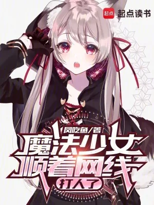 《魔法少女顺着网线打人了》小说封面