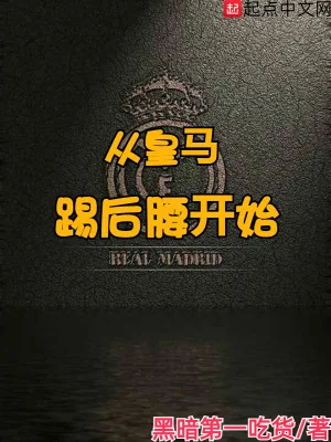 《从皇马踢后腰开始》小说封面