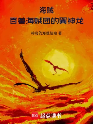 《海贼:百兽海贼团的翼神龙》小说封面