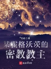 《某霍格沃茨的密教教主》小说封面