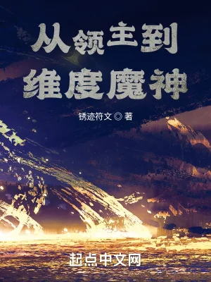《从领主到维度魔神》小说封面