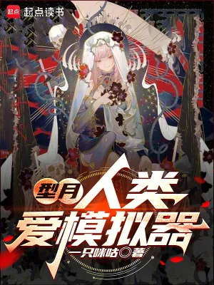 《型月,人类爱模拟器》小说封面